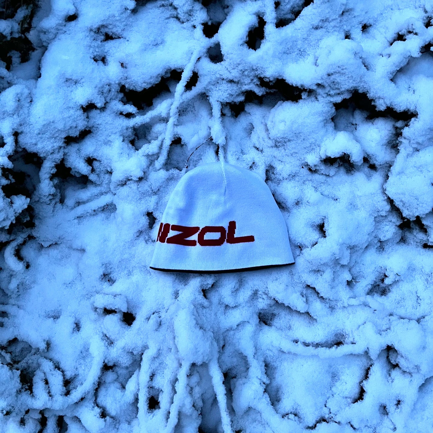 Bonnet